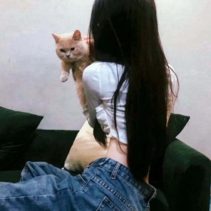 王老虎抢亲粤语